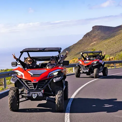 buggy safari