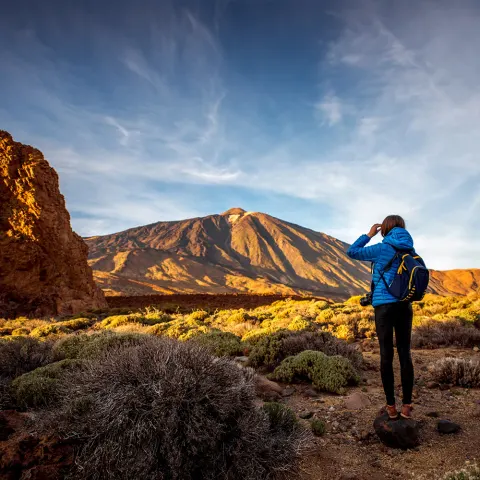 Teide