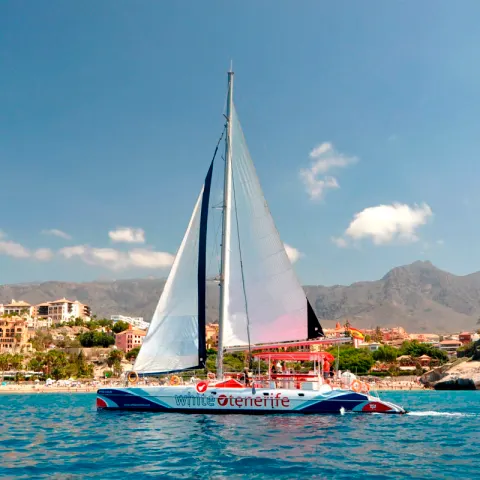 sailing