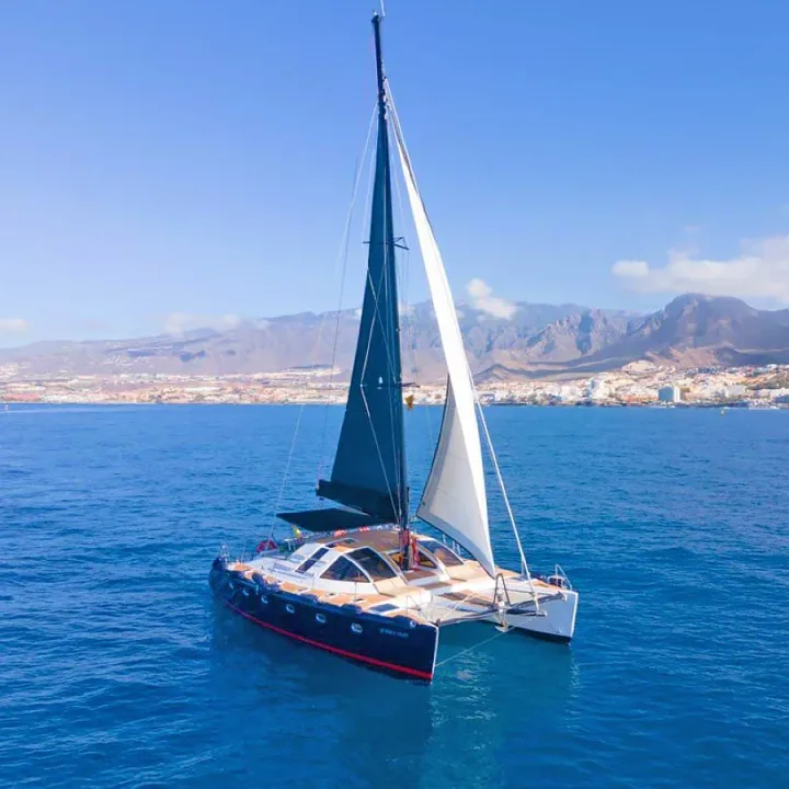 Abrazo Catamaran Тенеріфе