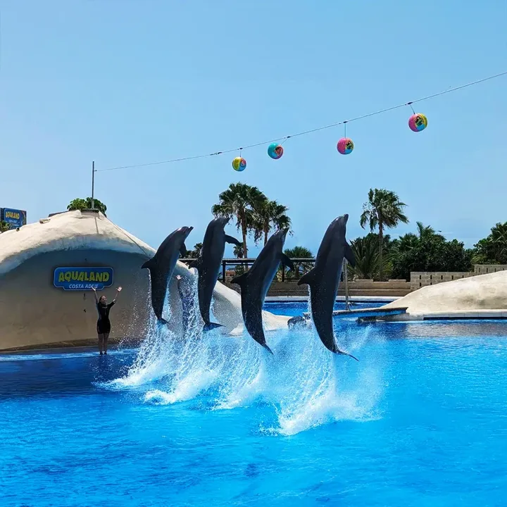 Aqualand Waterpark Tenerife, Costa Adeje, Dolfijnenshow en Gratis Shuttle