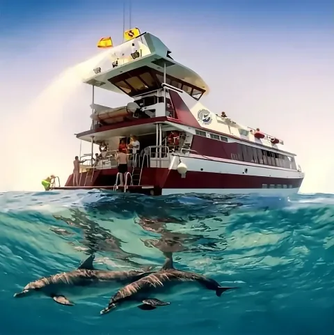 Excursões de barco