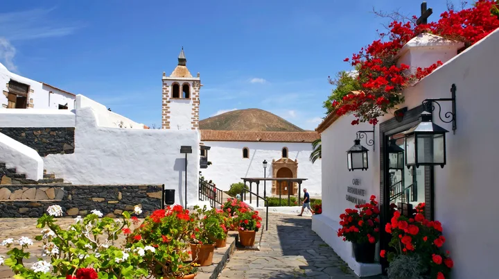 Discover Fuerteventura Island Tour