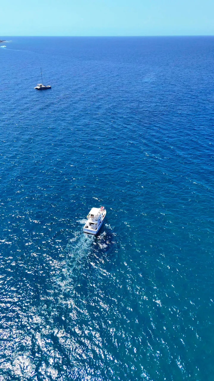 Privati delfinų kelionė, iki 8, Gran Canaria