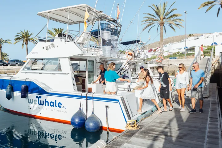 Privati delfinų kelionė, iki 8, Gran Canaria