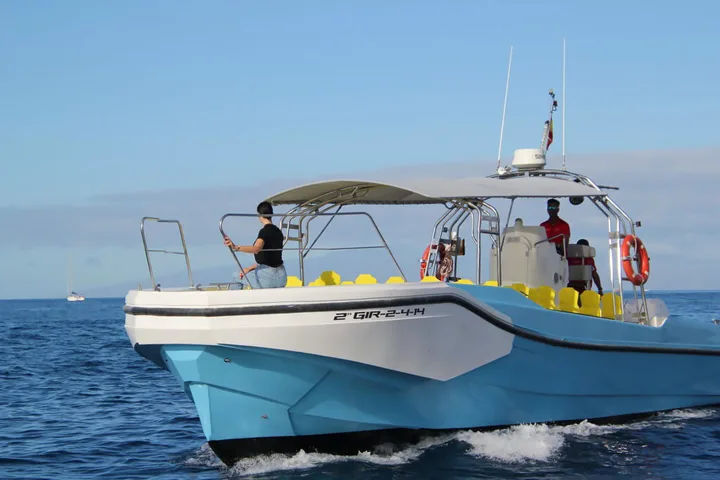 Fast Boat Trip, Tenerife