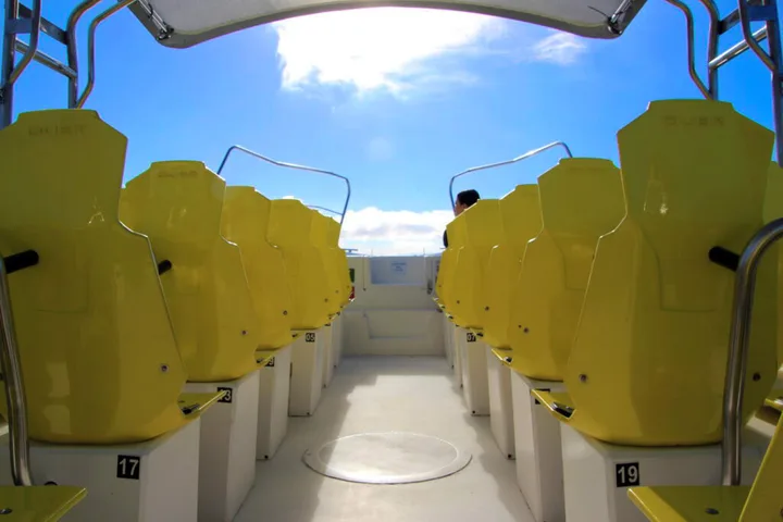 Fast Boat Trip, Tenerife