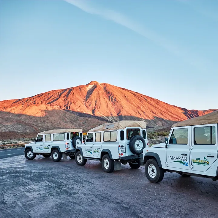 Safari Jeep Teide & Masca