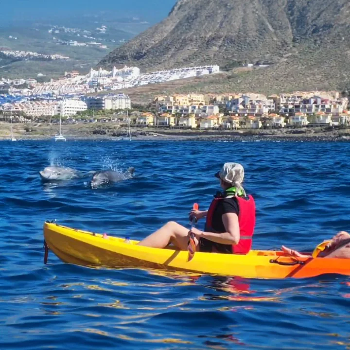 Kajaktúra Tenerifén, Indulás Los Cristianosból
