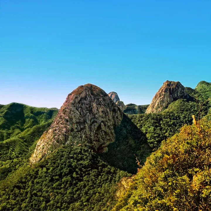 La Gomera bussituur Teneriifelt, Garajonay ja Silbo Gomero