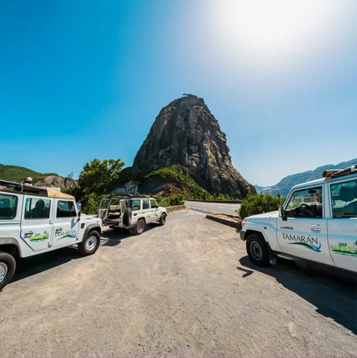Safari en Jeep à La Gomera