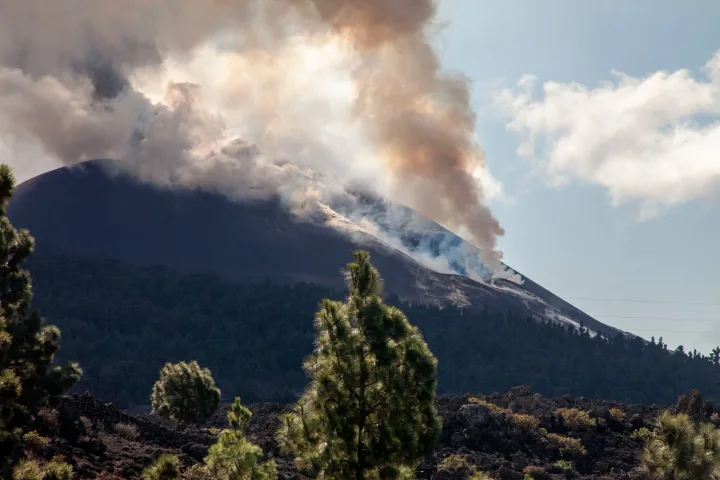 Sopečná Prehliadka La Palma, Celodenný výlet trajektom z Tenerife