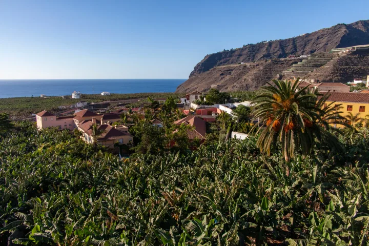 Sopečná Prehliadka La Palma, Celodenný výlet trajektom z Tenerife