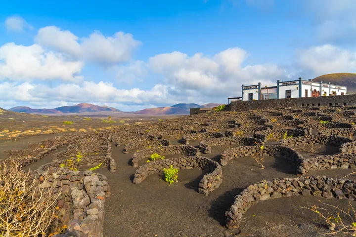 Lanzarote Volcano Tour