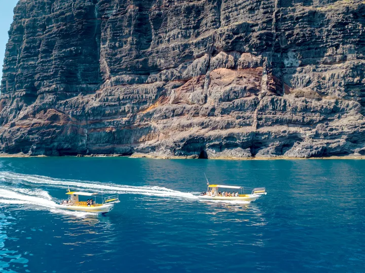 Los Rápidos Tenerife, Walvissen Spotten in Kleine Boot