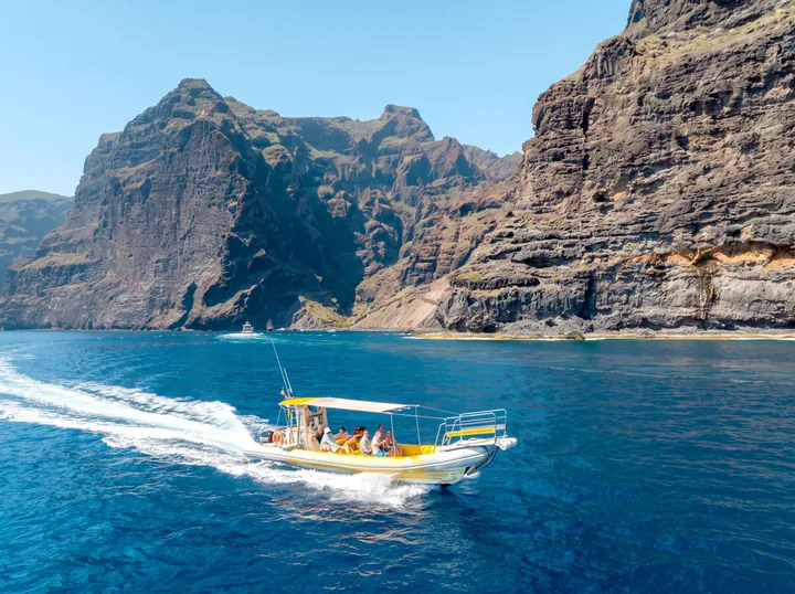 Los Rápidos Tenerife, Walvissen Spotten in Kleine Boot