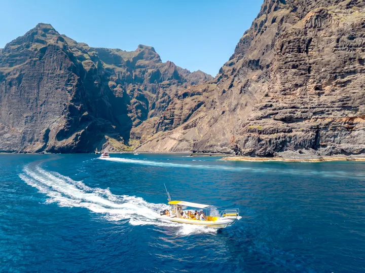 Los Rápidos Tenerife, Walvissen Spotten in Kleine Boot, 2 Uur vanaf Los Gigantes