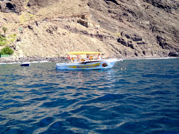 Masca Express Tenerife, Whale and Dolphin Watching