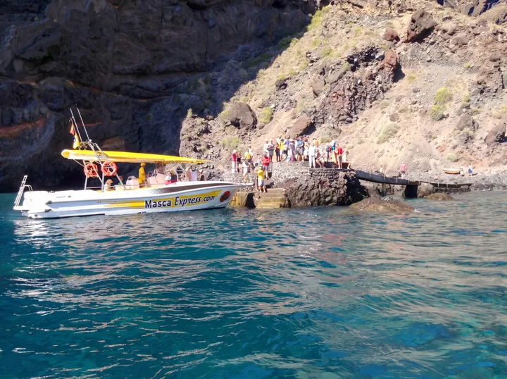 Masca Express Tenerife, Whale and Dolphin Watching