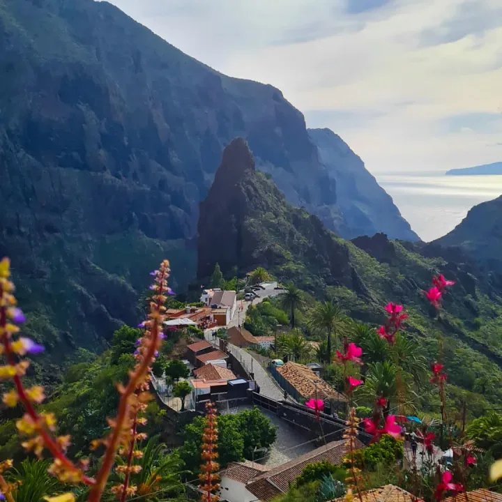 Natural Pools Tour, Masca & Los Gigantes Tenerife
