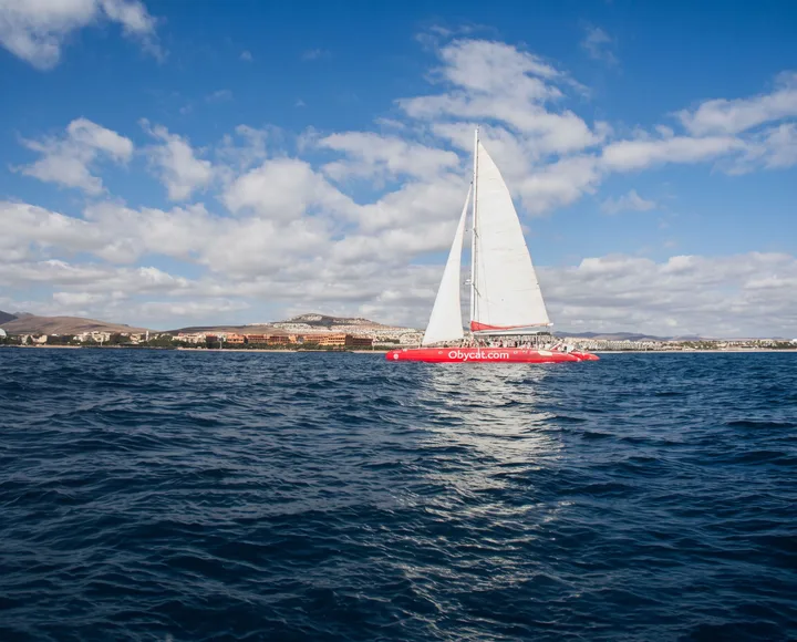 Obycat Experience Fuerteventura, Catamarán a Pozo Negro, 4 Horas desde Caleta de Fuste con Comida
