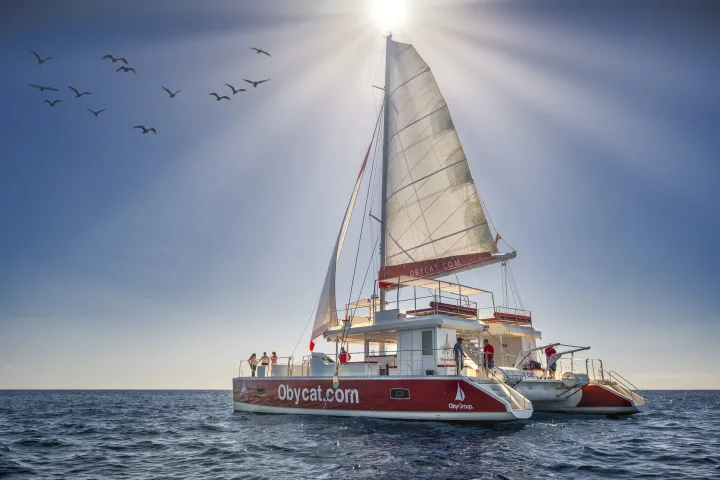 Obycat Catamaran Gran Canaria