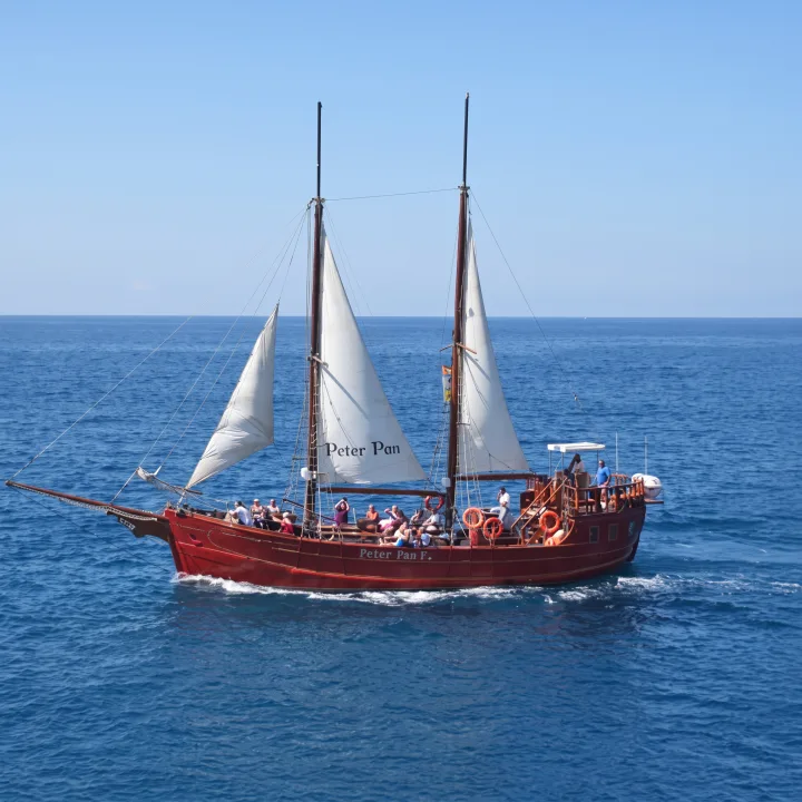 Peter Pan Pirate Ship Tenerife, Hvalsafari