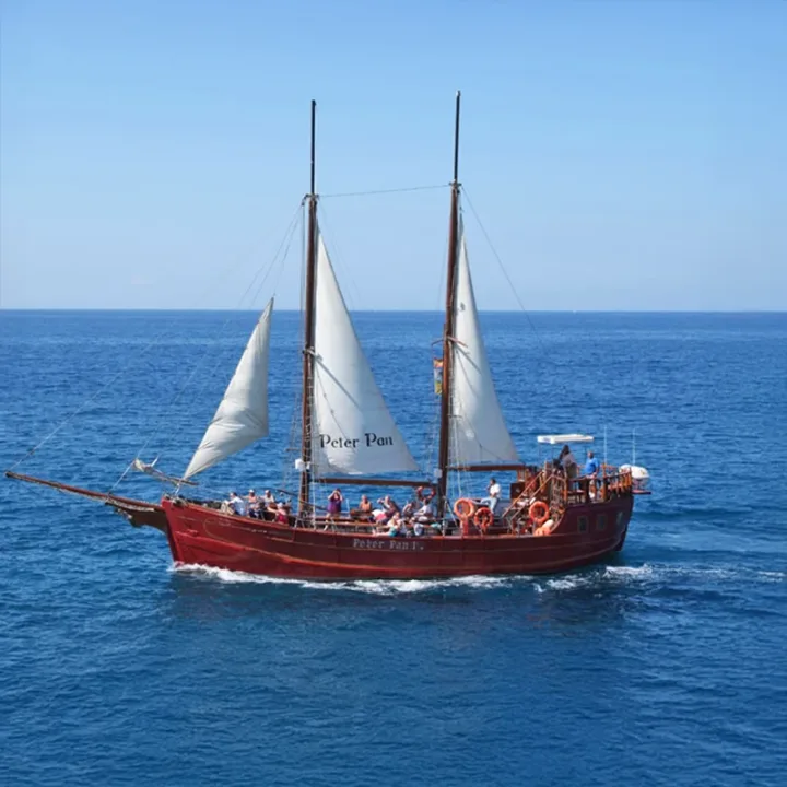 Peter Pan Pirate Ship Тенерифе, наблюдение за китами
