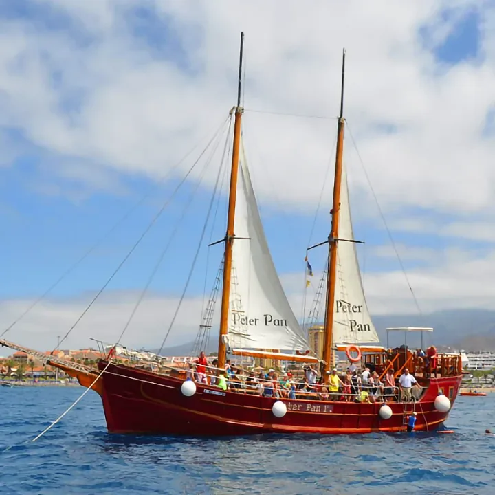 Peter Pan Pirate Ship Тенерифе, наблюдение за китами