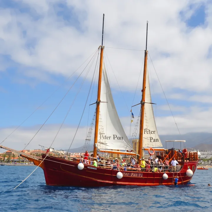 Peter Pan Pirate Ship Tenerife, Hvalsafari
