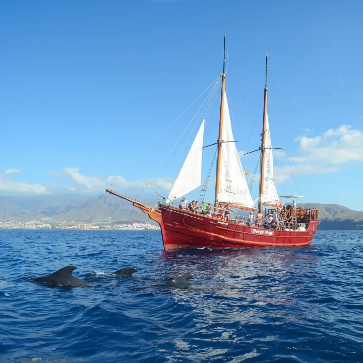 Peter Pan Pirate Ship Тенерифе