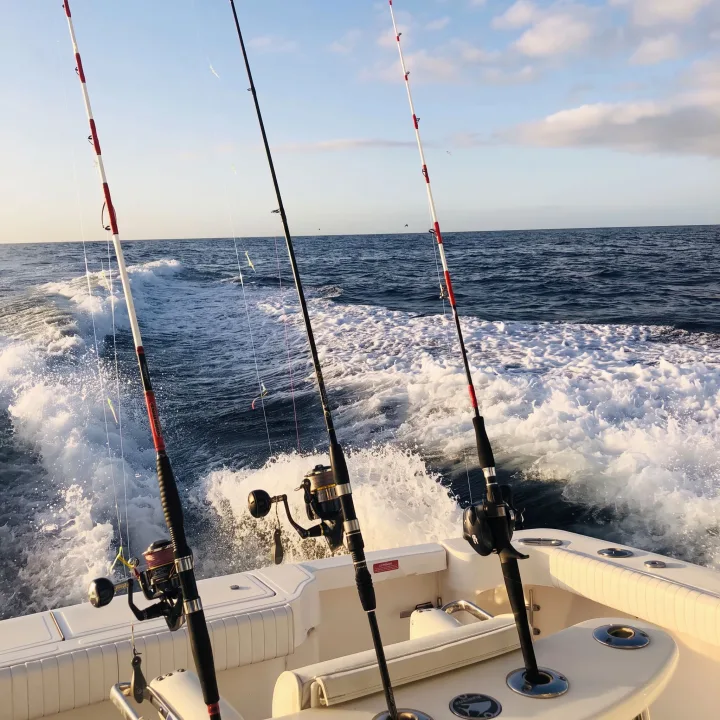 Royal Sport Fishing Тенеріфе, Трофейна риболовля з Costa Adeje