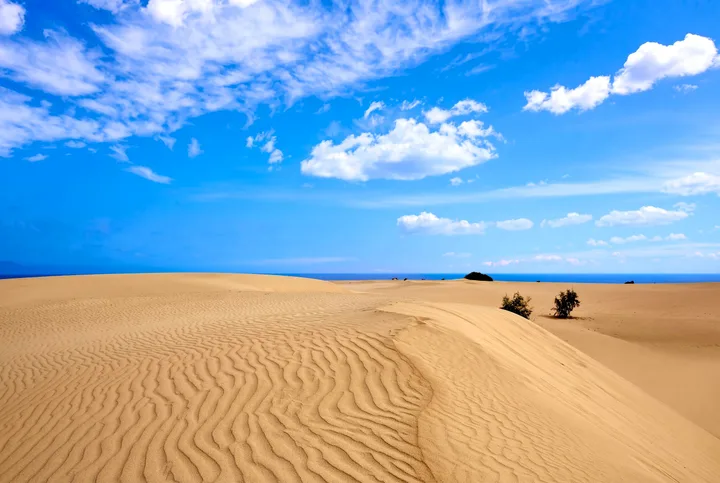 Tur de Vin Nord Fuerteventura