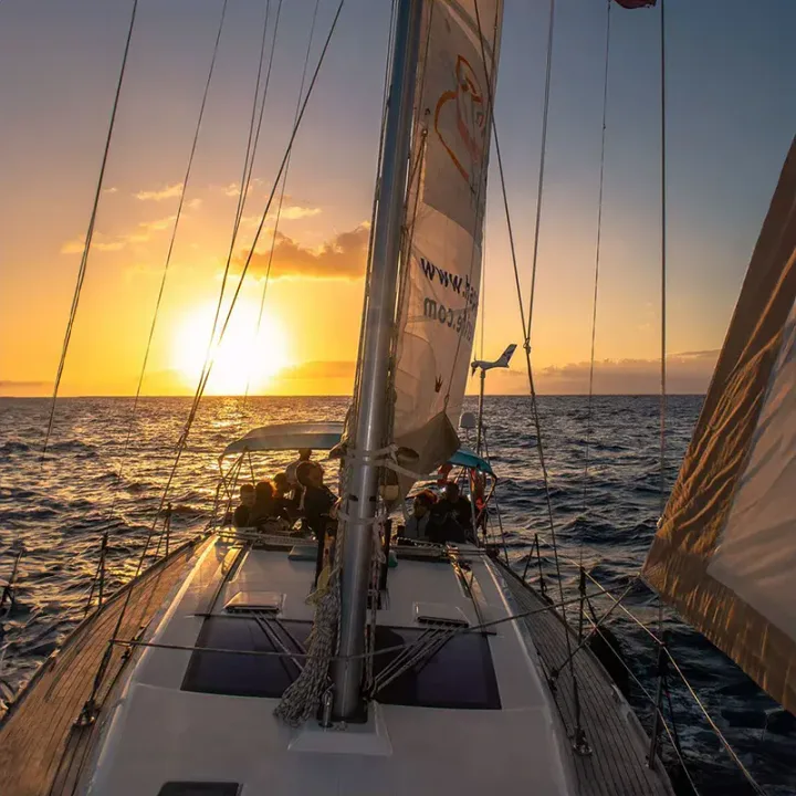 Ballenas en Velero Tenerife