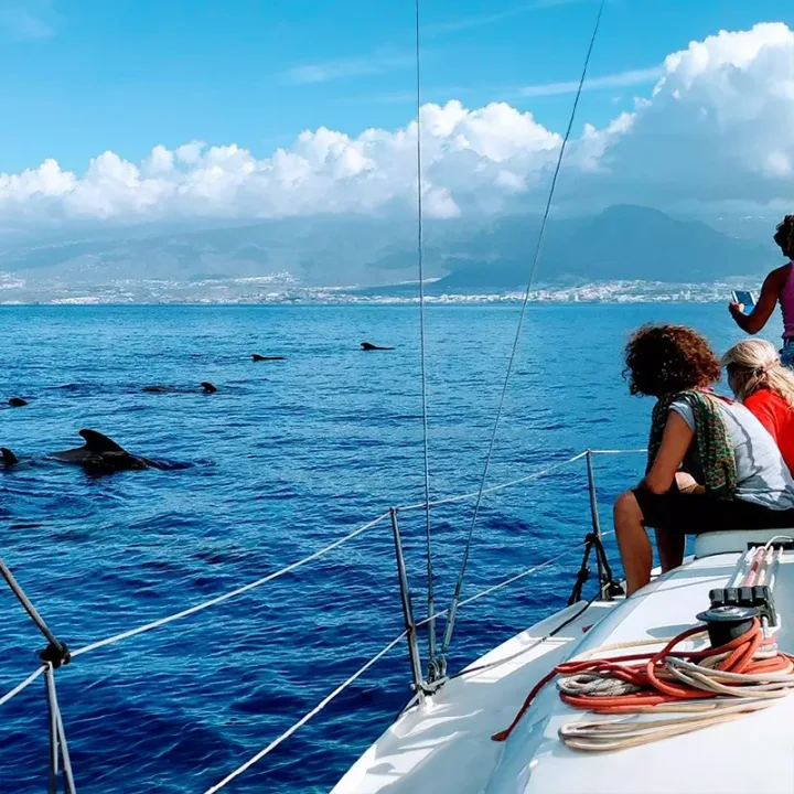 Tour in barca a vela Tenerife