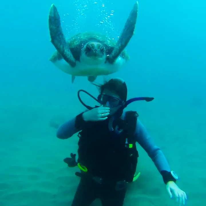 PADI Open Water Tenerife, Los Cristianos és Costa Adeje