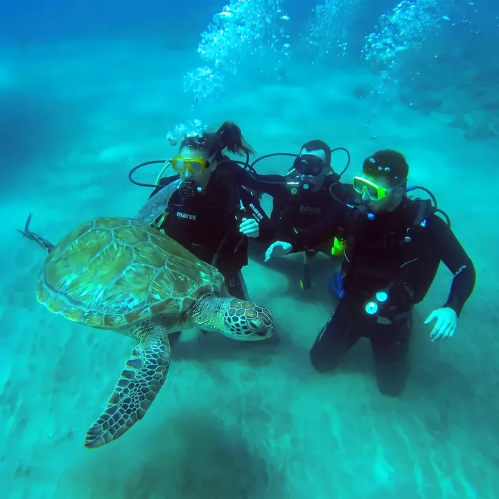 Scuba Diving Teneriffa
