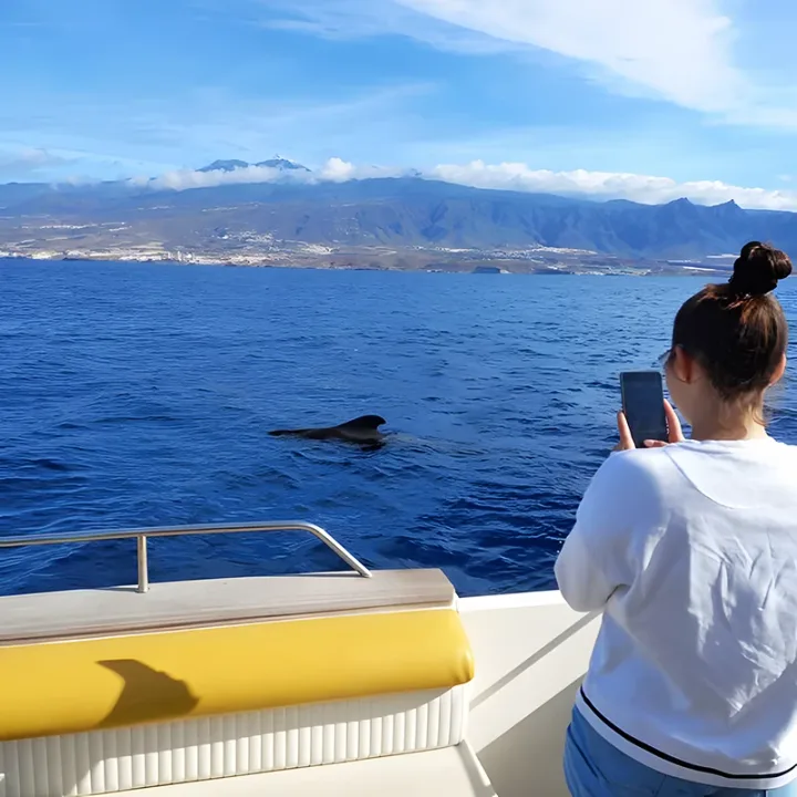 Skyline Location Yacht Tenerife