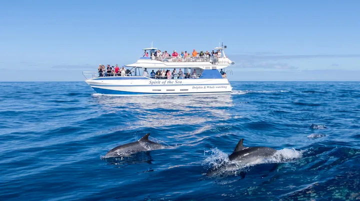 Spirit of the Sea Gran Canaria