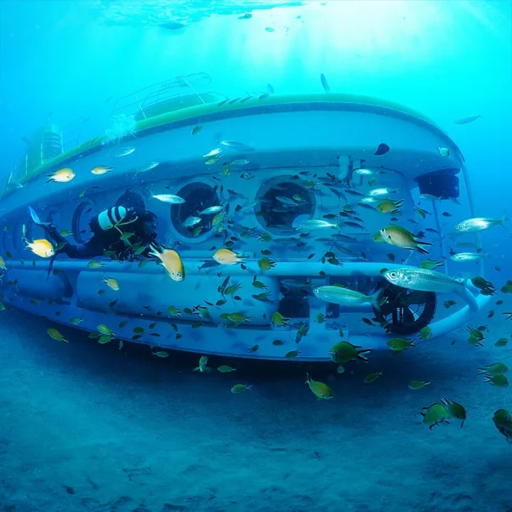 Submarine Safari Тенеріфе, Тур на жовтому підводному човні
