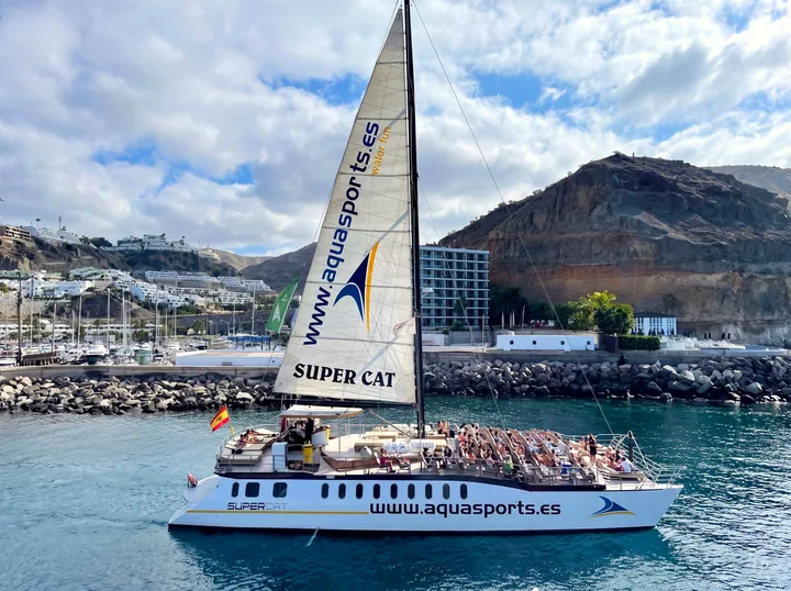 Observation des Dauphins, Gran Canaria