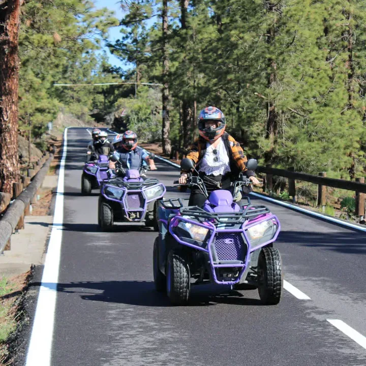 Teide Quad Safari, Тенерифе