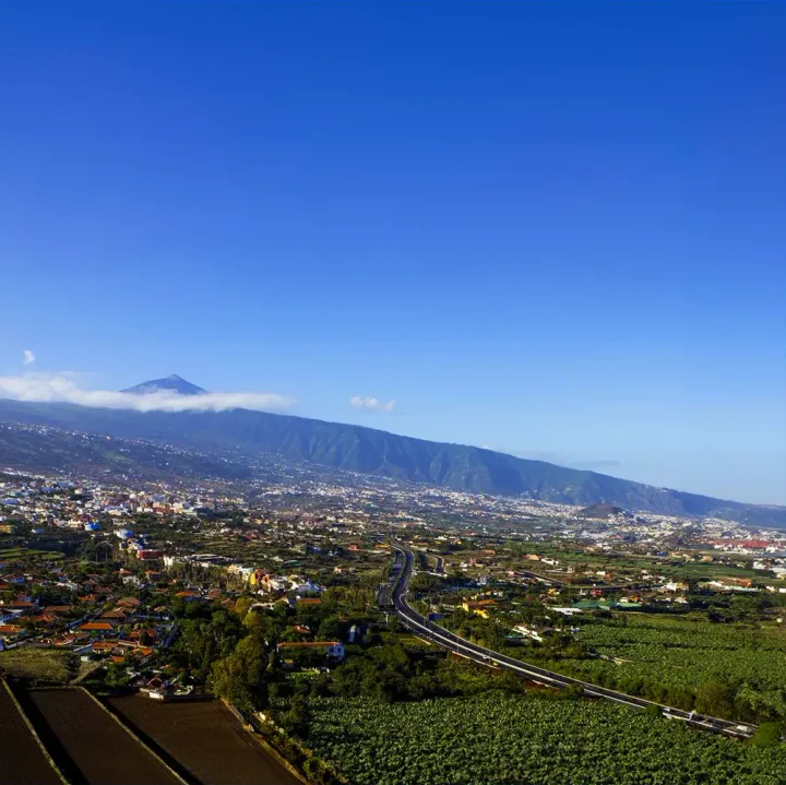 Tenerife Rundtur, Guidet Busrejse