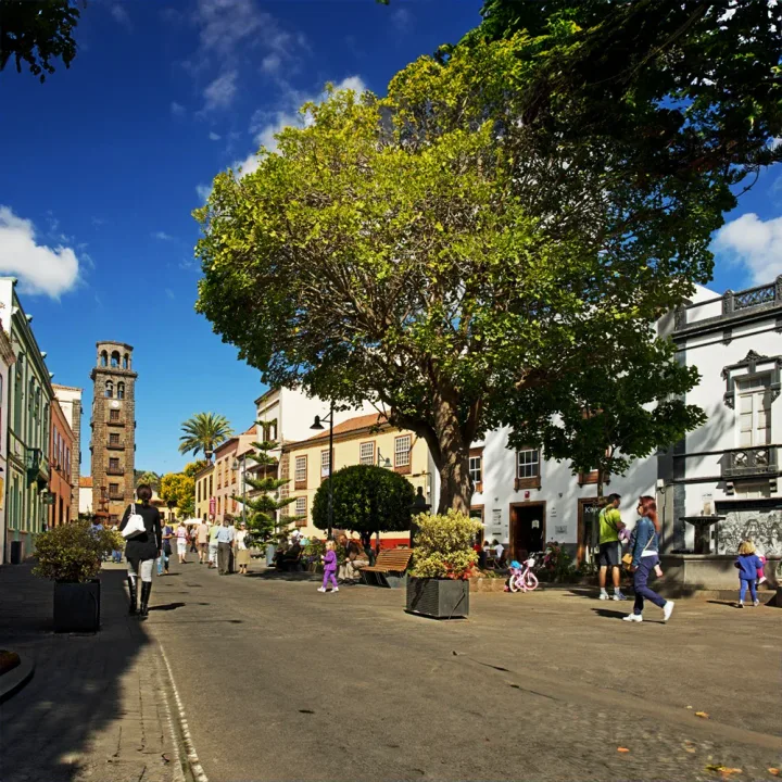 Nordtenerife Bustur, Santa Cruz, Taganana & La Laguna