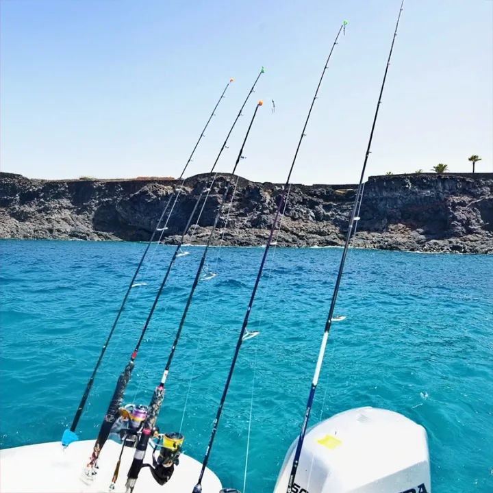 White Shark Fishing Tenerife, Pêche en Haute Mer depuis Marina del Sur