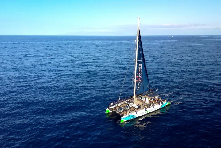 White Tenerife Catamaran