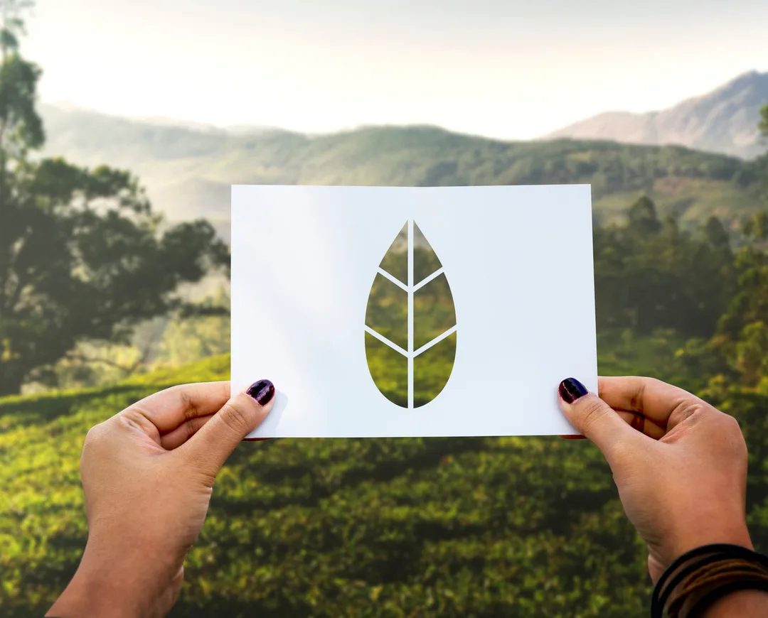 Sustainable travel in Tenerife: how to visit without wrecking the place