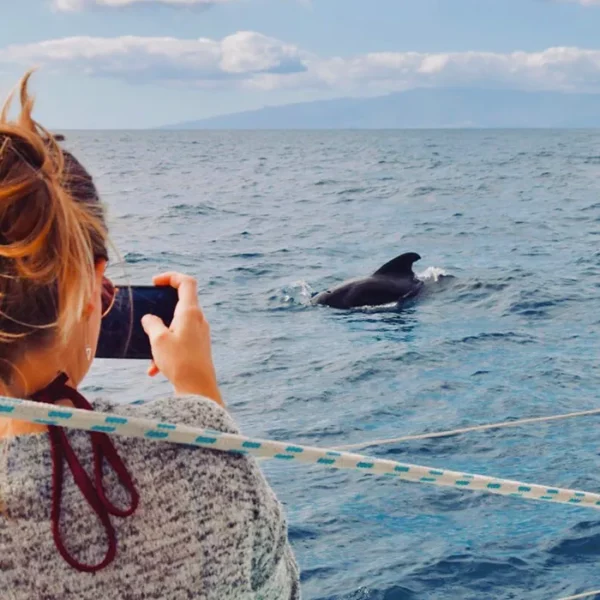 Tour e noleggio di barche a vela a Tenerife