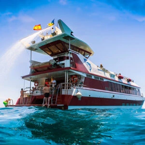 Excursión en Barco Royal Delfin Tenerife