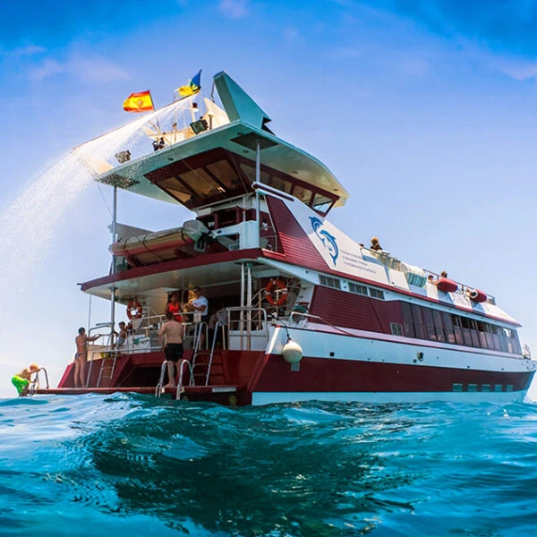 Excursión en Barco Royal Delfin Tenerife